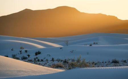 Golden sunset over white sand dunes.